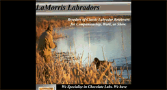 Desktop Screenshot of lamorrislabs.com