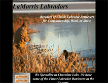 Tablet Screenshot of lamorrislabs.com